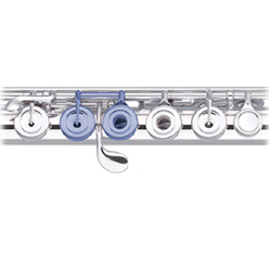 Trevor James CV-R Chanson flute