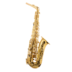 Trevor James 3730G The Horn alto sax gold lacquer