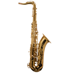 Trevor James 3830G The Horn tenor sax goudlak