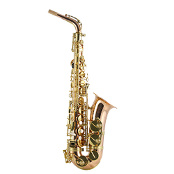 TREVOR JAMES Alt saxofoon SR Rose Brass/Goudlak