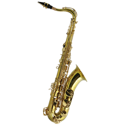 Trevor James 384SR-KK SR tenor sax gold lacquer