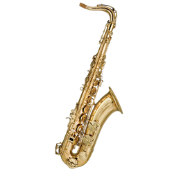 Trevor James 38SC-T169B Signature Custom tenor sax goudlak