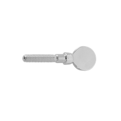 BG A-SSP ligature screw silver