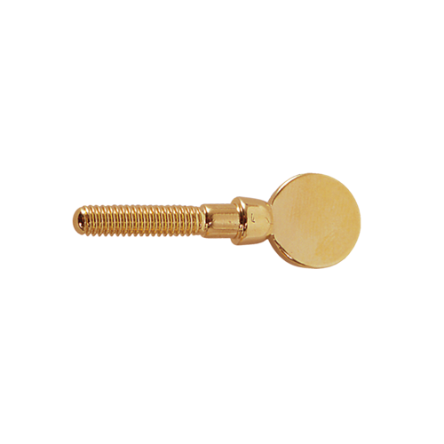 BG A-SGP rietbinderschroef goud