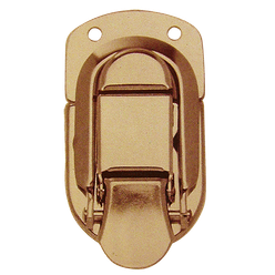 Case lock Brass           A667